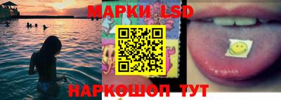 соль ск Сланцы