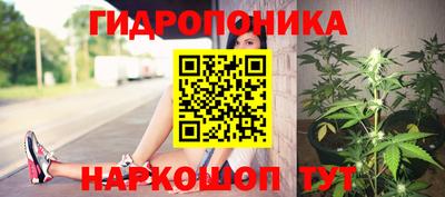 спайс Славгород