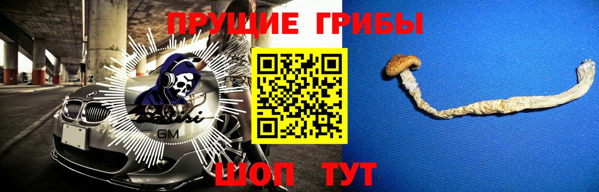 Ноябрьск  Псилоцибиновые грибы мицелий  Вход с VPN  Галлюциногенные грибы Psilocybe 